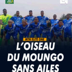Aigle du moungo
