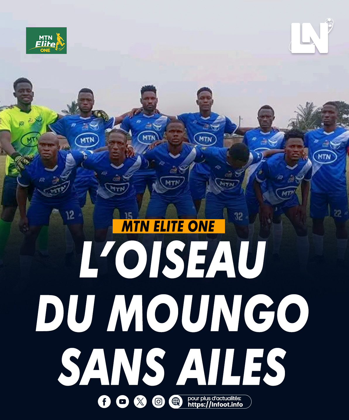 Aigle du moungo