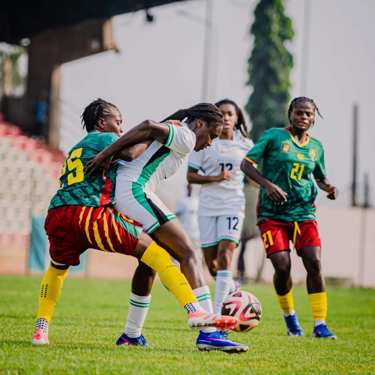 Les lionnes indomptables