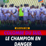 colombe du sud