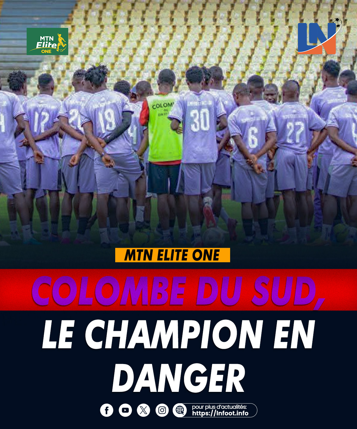 colombe du sud
