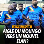 Aigle du Moungo.jpg