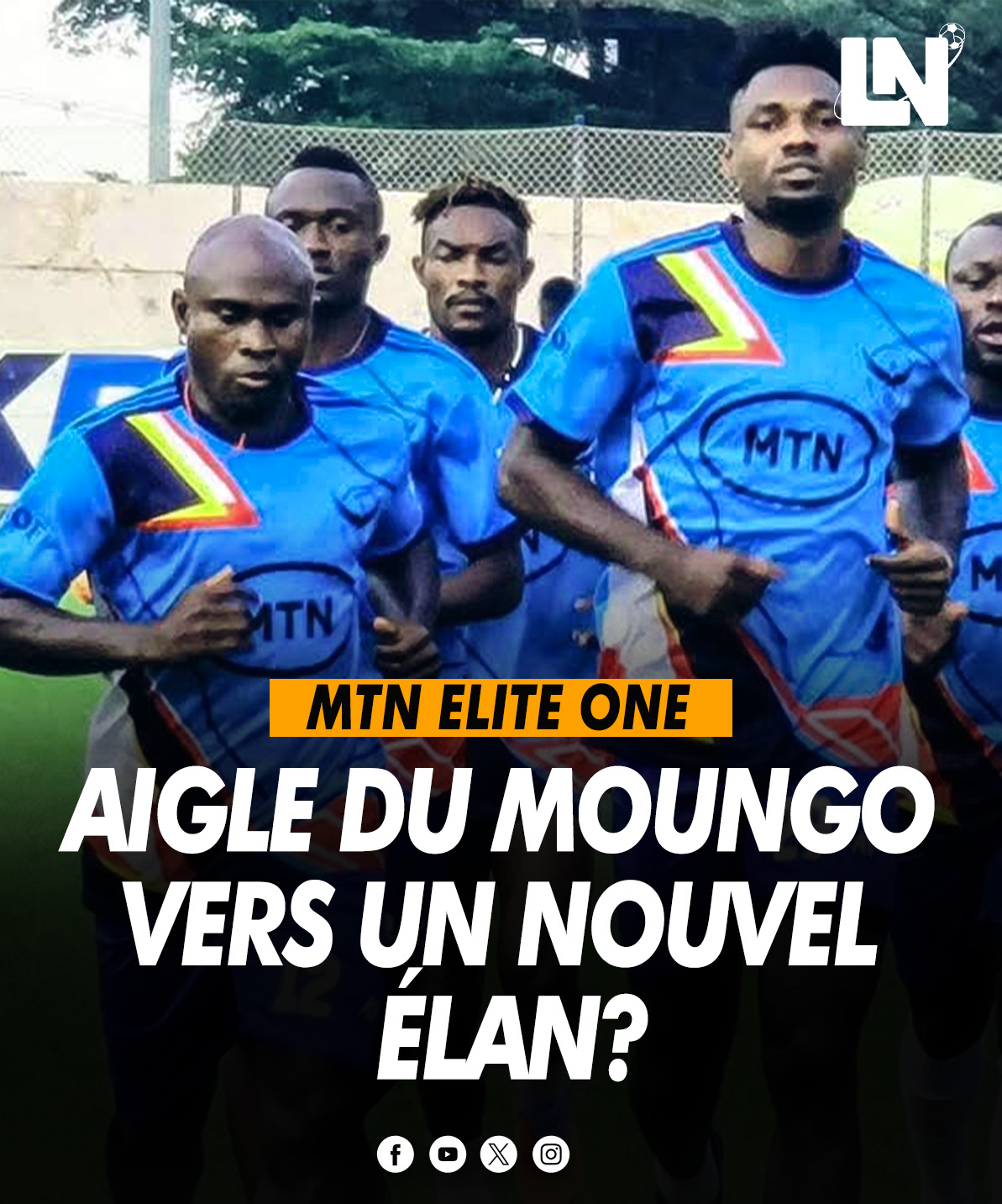 Aigle du Moungo.jpg